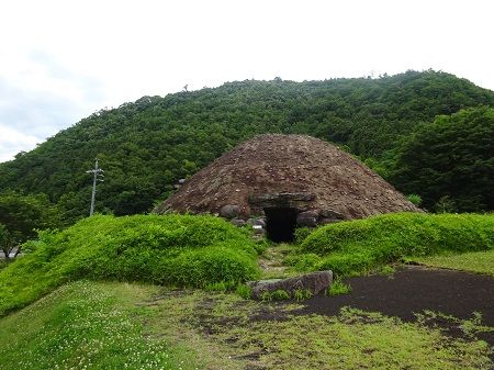 DSC04687 (2)