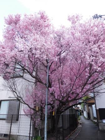 DSCN1178