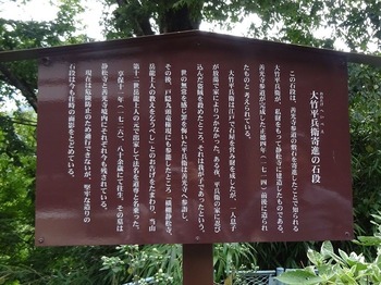 DSC05547 (2)
