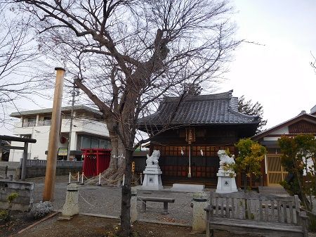 DSCN5643