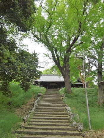 DSC03661 (2)