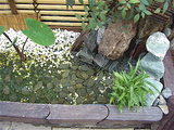 ミツイさんのせせらぎ
