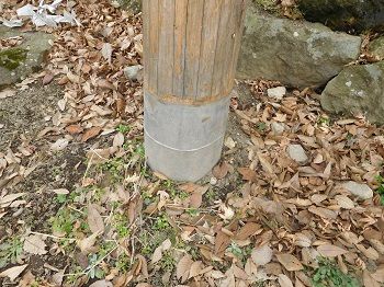 DSCN5429