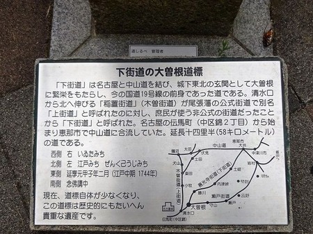 DSC04995 (2)