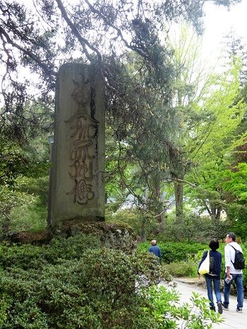 DSC03785 (2)