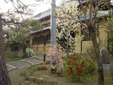 西方寺花