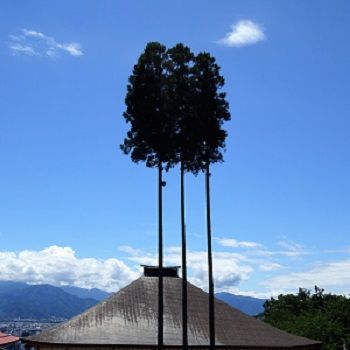 DSC01747 (3)