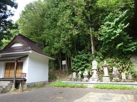 DSC05561