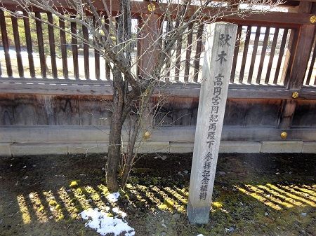 DSC05939 (2)