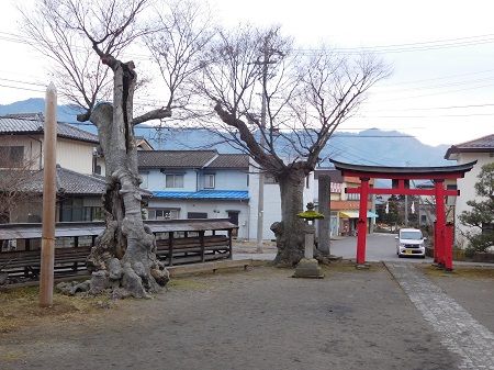 DSCN6156