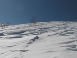 d2788bb6.jpg