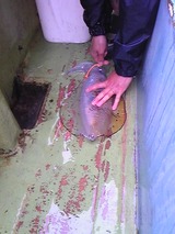 7f73d022.jpg