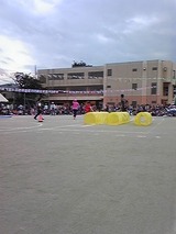 830518cd.jpg