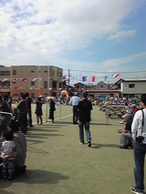 d564b587.jpg