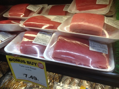 maguro