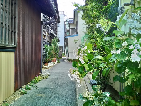 150619_122117