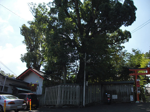 DSCF0090