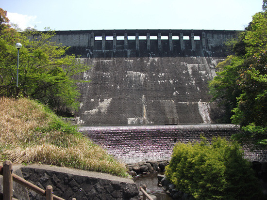 DSCF5766