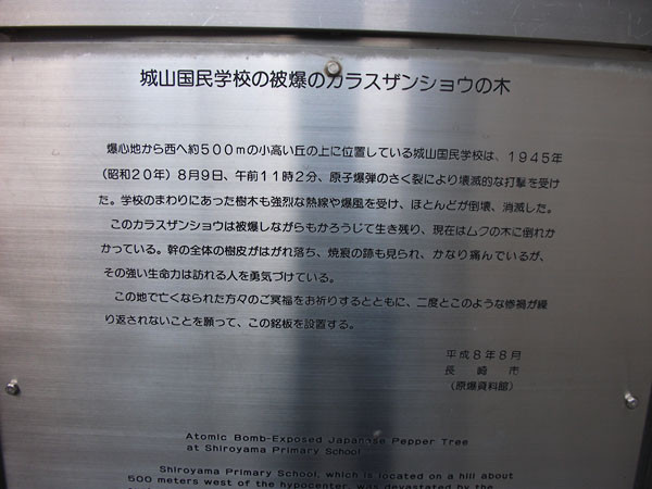 DSCF2633