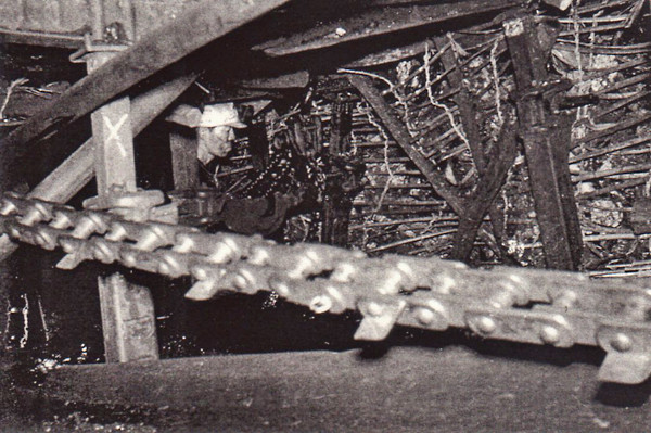 kohyagi146