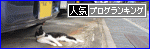 br_decobanner_20120117185448