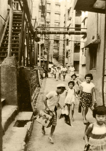 hasima665