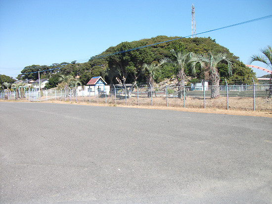 DSCF5082