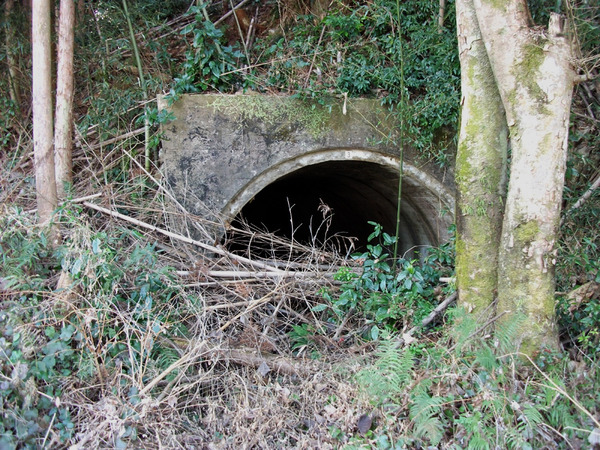 DSCF6198