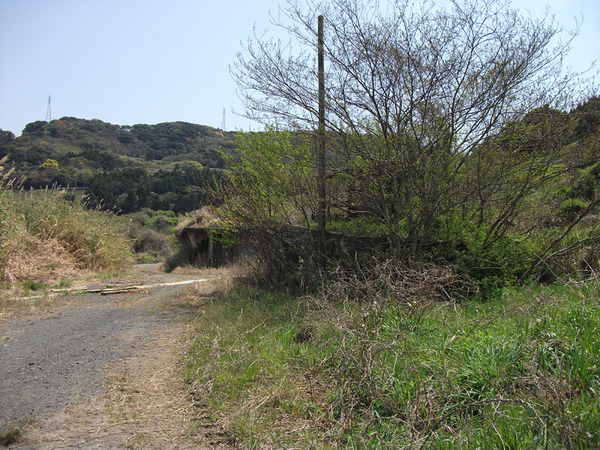 DSCF5715