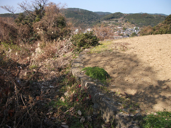 DSCF6184
