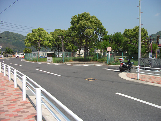 DSCF6003