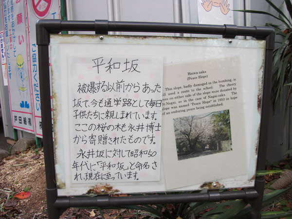 DSCF2634