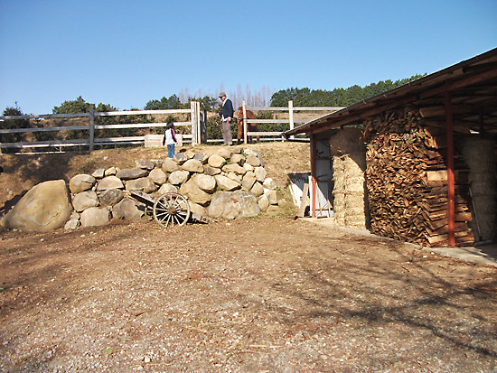 DSCF4637
