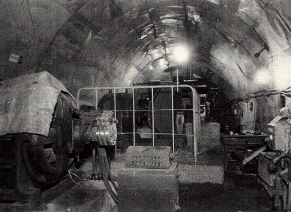 kohyagi137