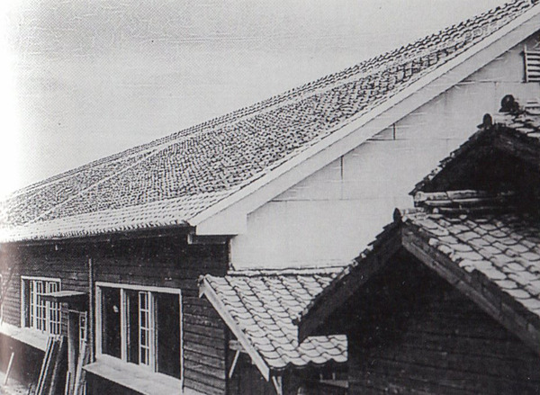 楠泊小学校web