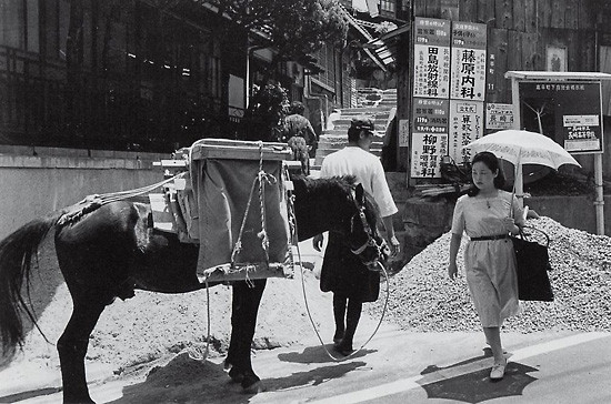 昭和50年高平町・対州馬330
