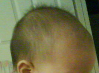 mia head