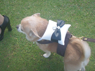 sachi1