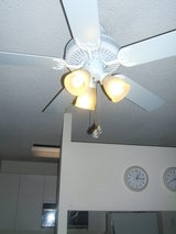 light 2