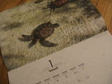 honu