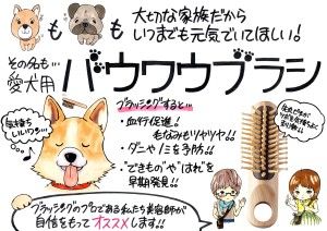 バウワウブラシ_ポップ