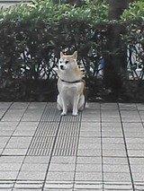 アキ
