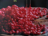 lillipili