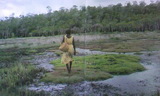 bush farming