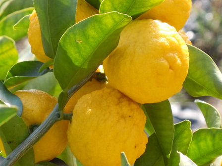 2010��3