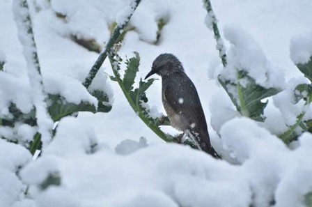 DSC_6935_01