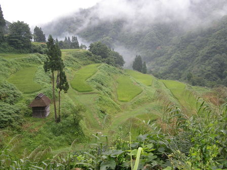 rusubara