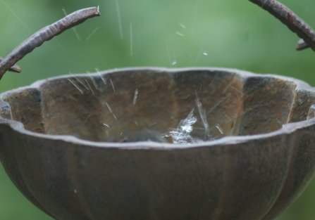 ���֤�-1