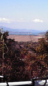 dfd03fbd.jpg