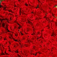 IMG_20171208_223958